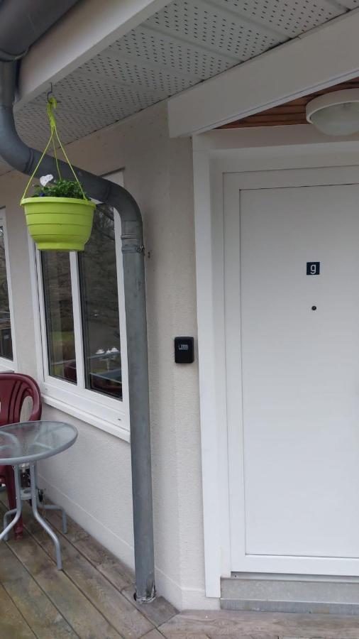 Ferienwohnung Am Stadtwald Freiberg Buitenkant foto