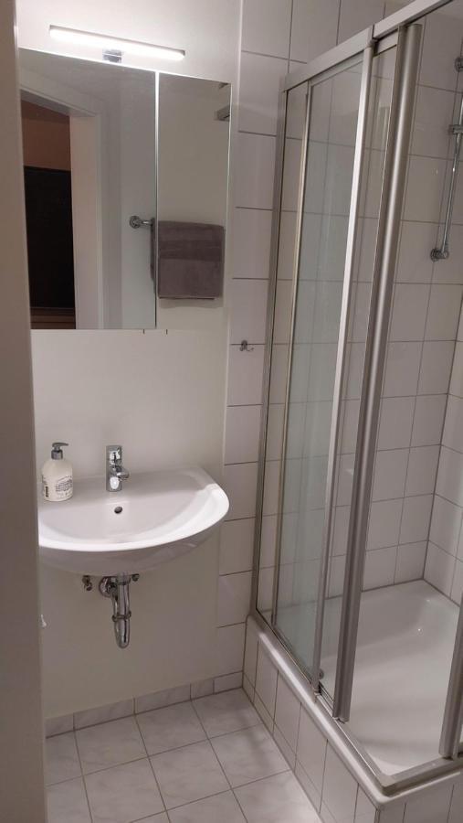 Ferienwohnung Am Stadtwald Freiberg Buitenkant foto